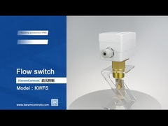 Brass 24V 15A water flow switch types OEM IP65