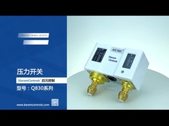 Stainless steel Dual Adjustable Pressure Switches For Water Pump